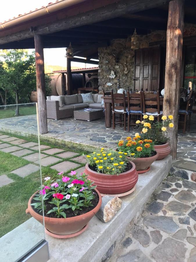 Villa Casa Avocado Tavronitis Exterior foto